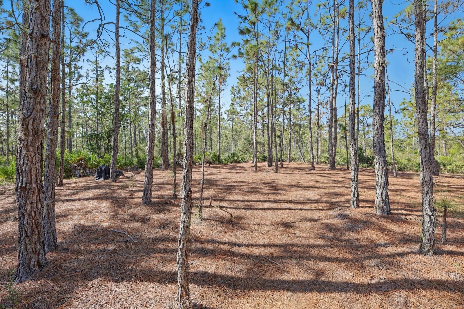 POMELLO CITY CENTRAL UNIT - Land