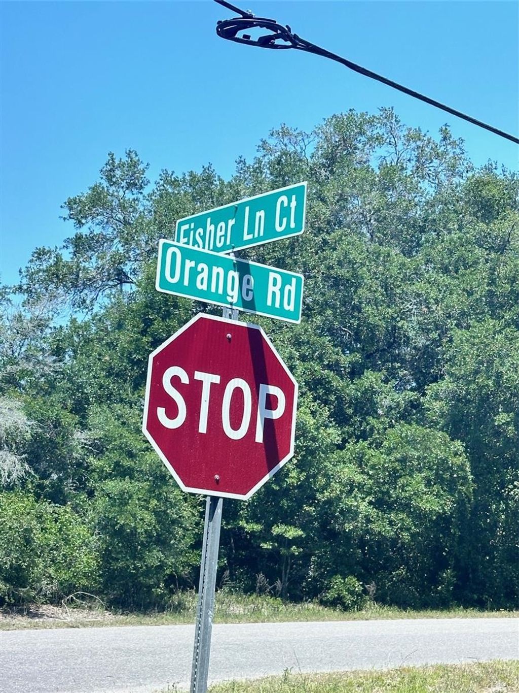 Photo of Tbd Orange Road, Ocklawaha, FL 32179 (MLS # O6306516)