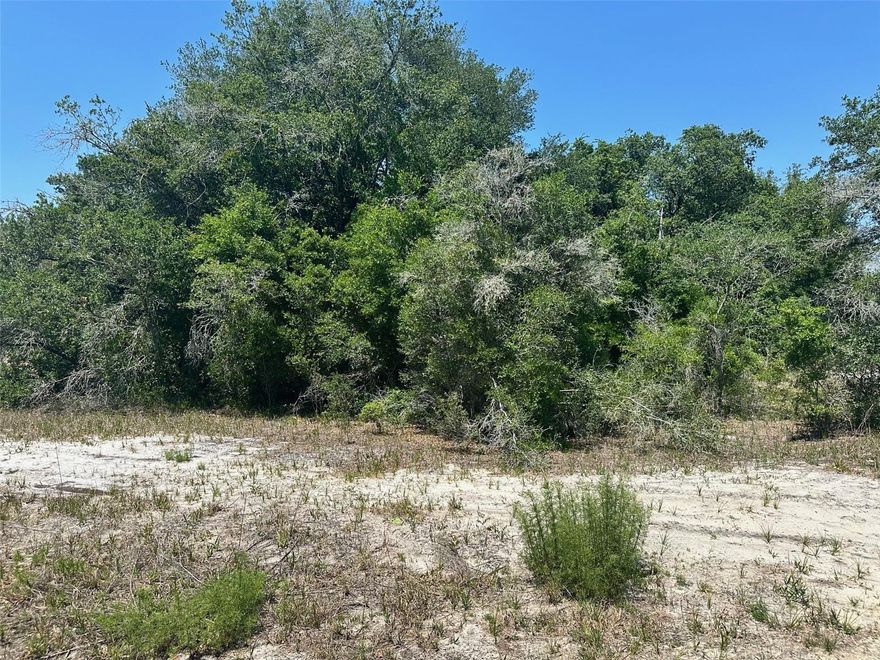 Build your home on this great lot with no HOA fees.