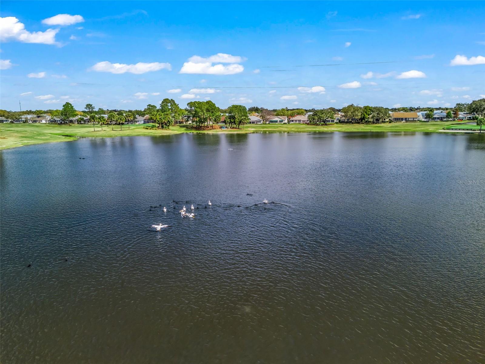 VILLAGES OF SUMTER - Residential