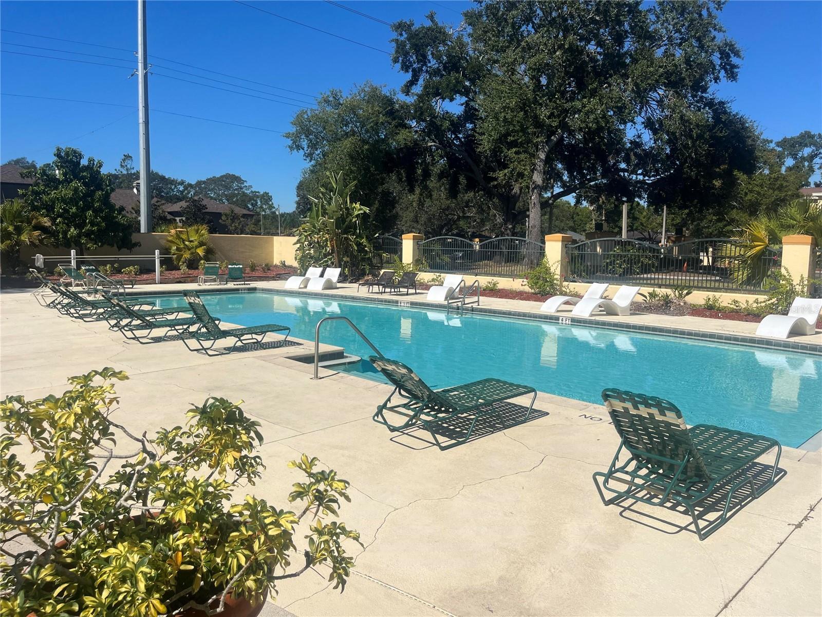 THE PINNACLE AT CARROLLWOOD A - Residential