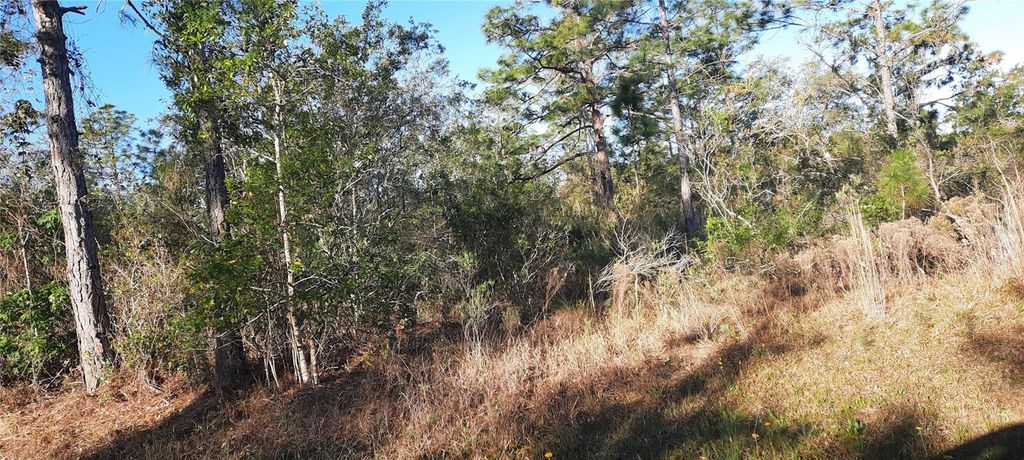 Photo of 623 Granada Drive, Indian Lake Estates, FL 33855 (MLS # TB8363244)