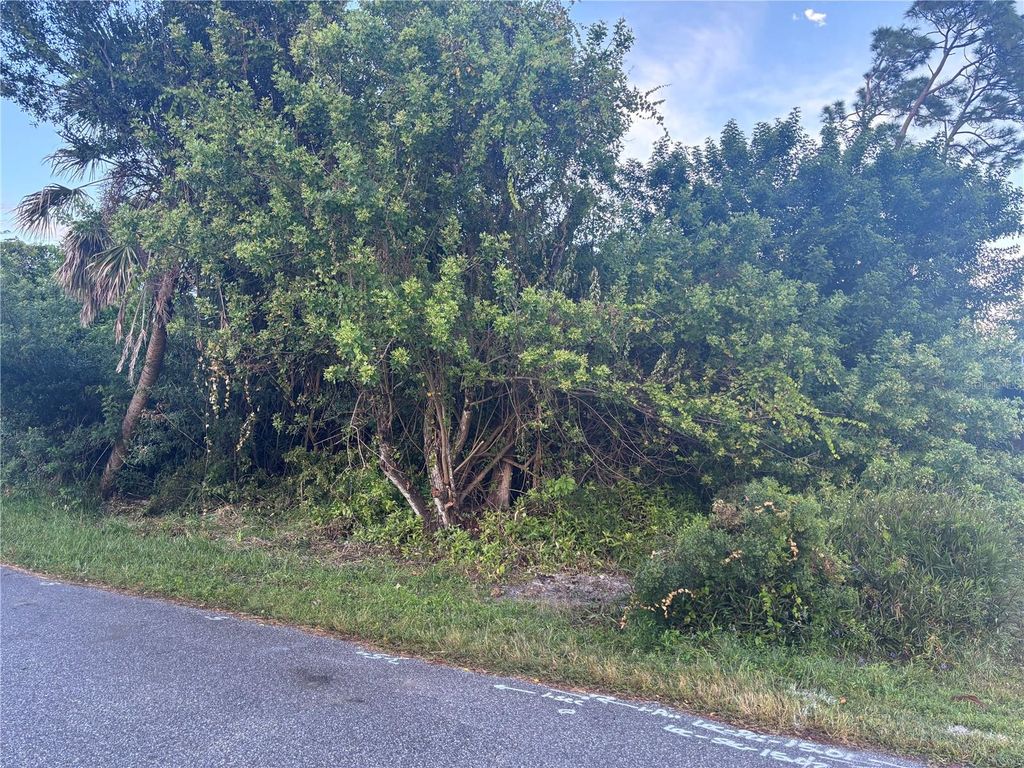 Photo of 773 Red Bay Street, Port Charlotte, FL 33948 (MLS # C7515937)