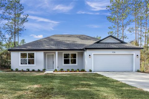 A home in CITRUS SPRINGS