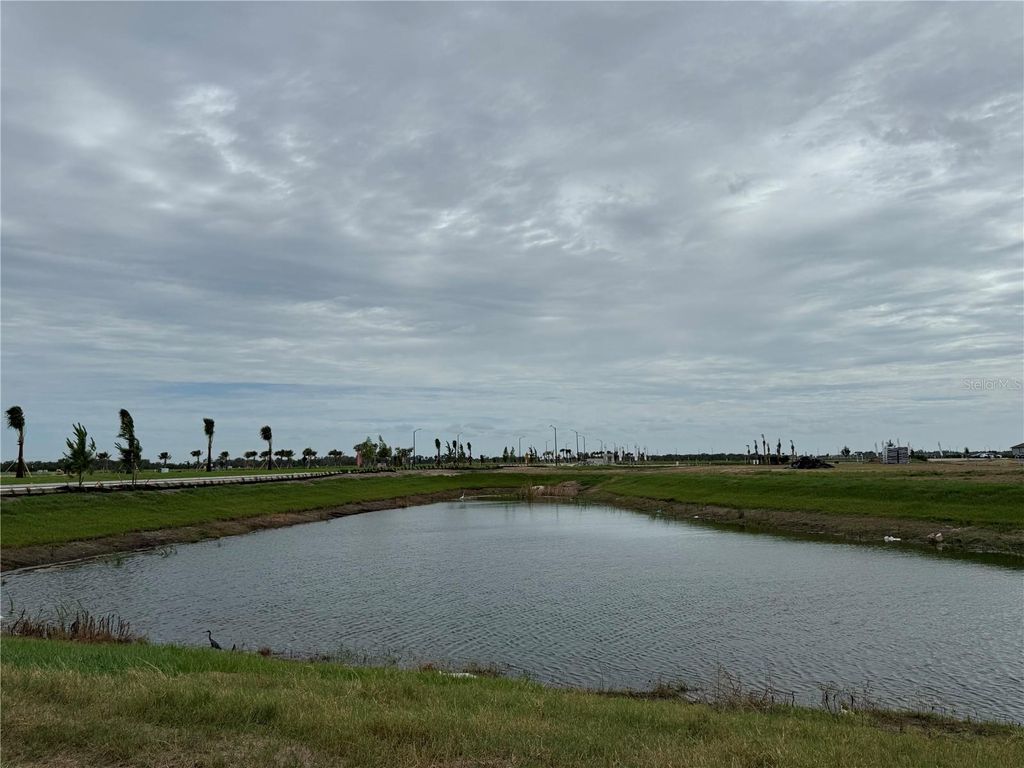 Photo of 8725 Canard Cove, Palmetto, FL 34221 (MLS # A4695548)