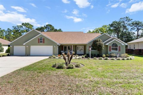 13 CUPANIA COURT HOMOSASSA FL 34446
