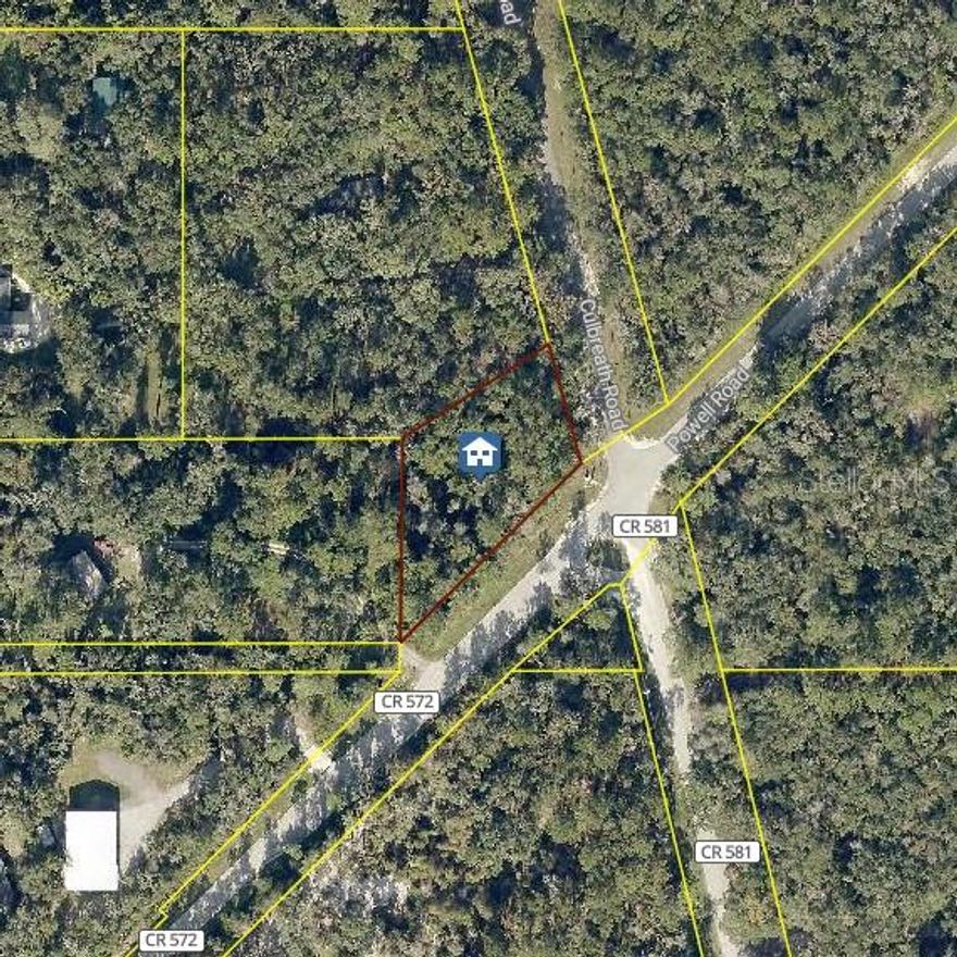 Excellent opportunity to own Agriculture Zoned Land W/ 260 ' on Powell road; Great for road side AG business. Land located in the peaceful countryside of Brooksville. Located on corner of Powell and Culbreath Rd, this property offers a quiet, rural setting while still providing convenient access to shopping, dining, schools, and major roadways. Ideal for building your dream home or investing in land within a growing area, this parcel provides plenty of potential with room to enjoy privacy and country-style living. Experience the charm of Hernando County while remaining just a short drive from everyday conveniences and the Gulf Coast.