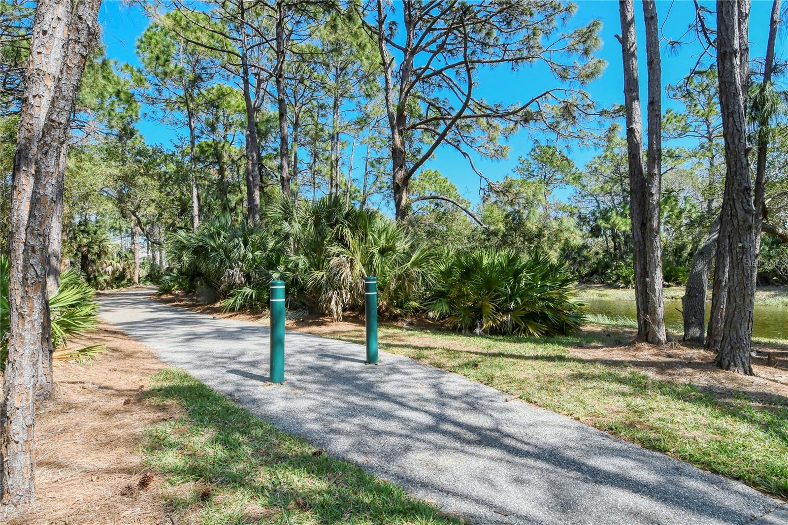 RIVENDELL UNIT 3-B  THE WOODLANDS - Residential