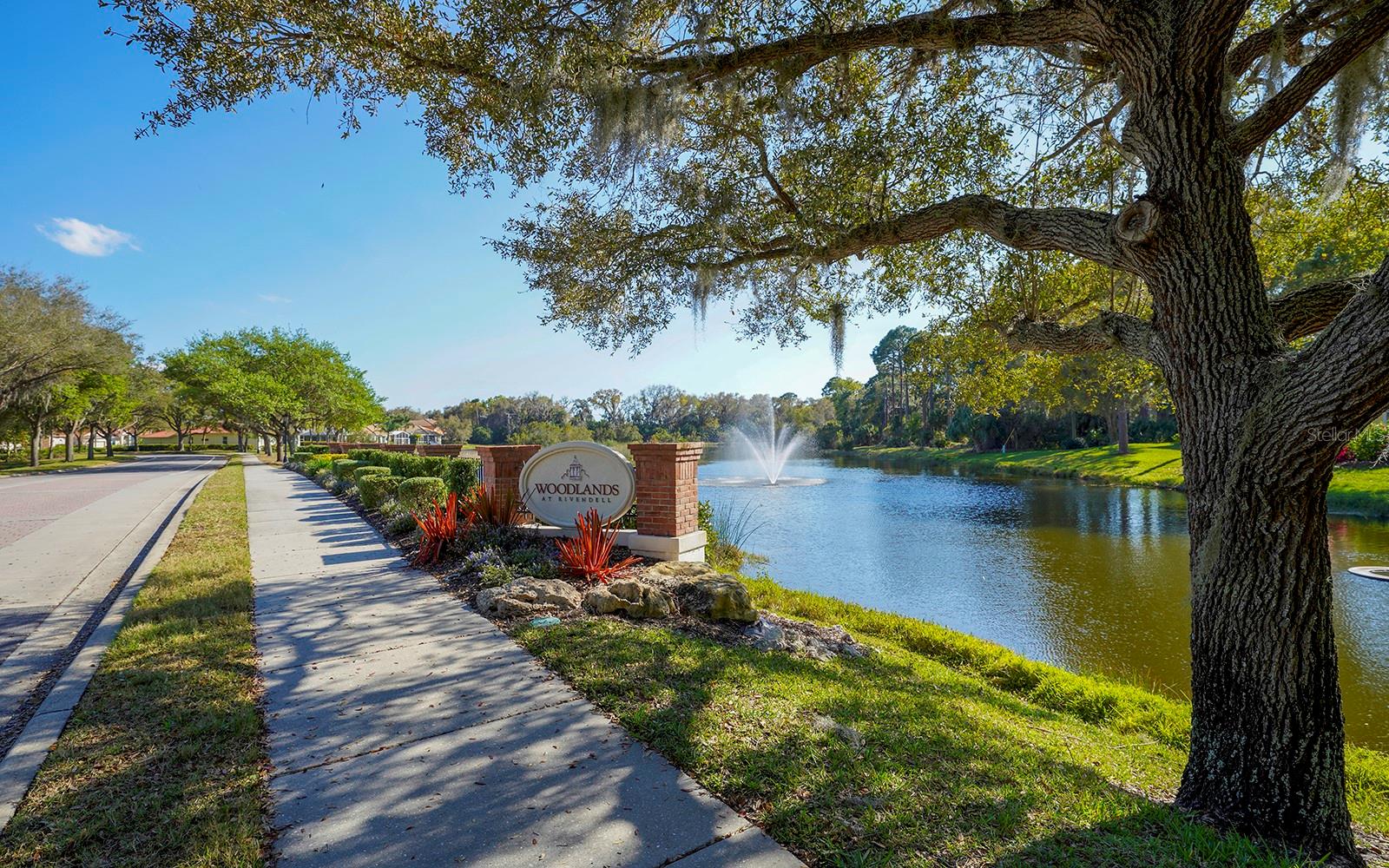 RIVENDELL UNIT 3-B  THE WOODLANDS - Residential