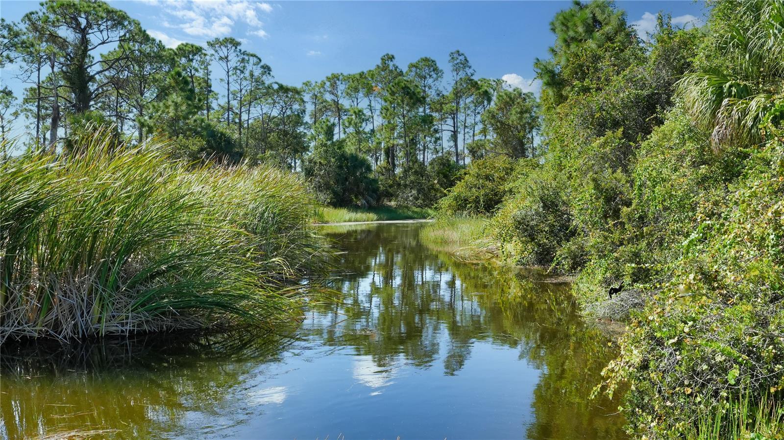 RIVENDELL UNIT 3-B  THE WOODLANDS - Residential