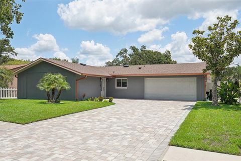 A home in SAFETY HARBOR