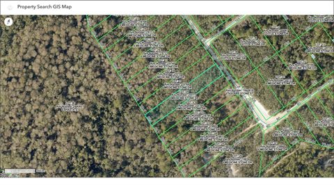 Photo of Tbd Medicine Stone Drive, Webster, FL 33597 (MLS # TB8513647)