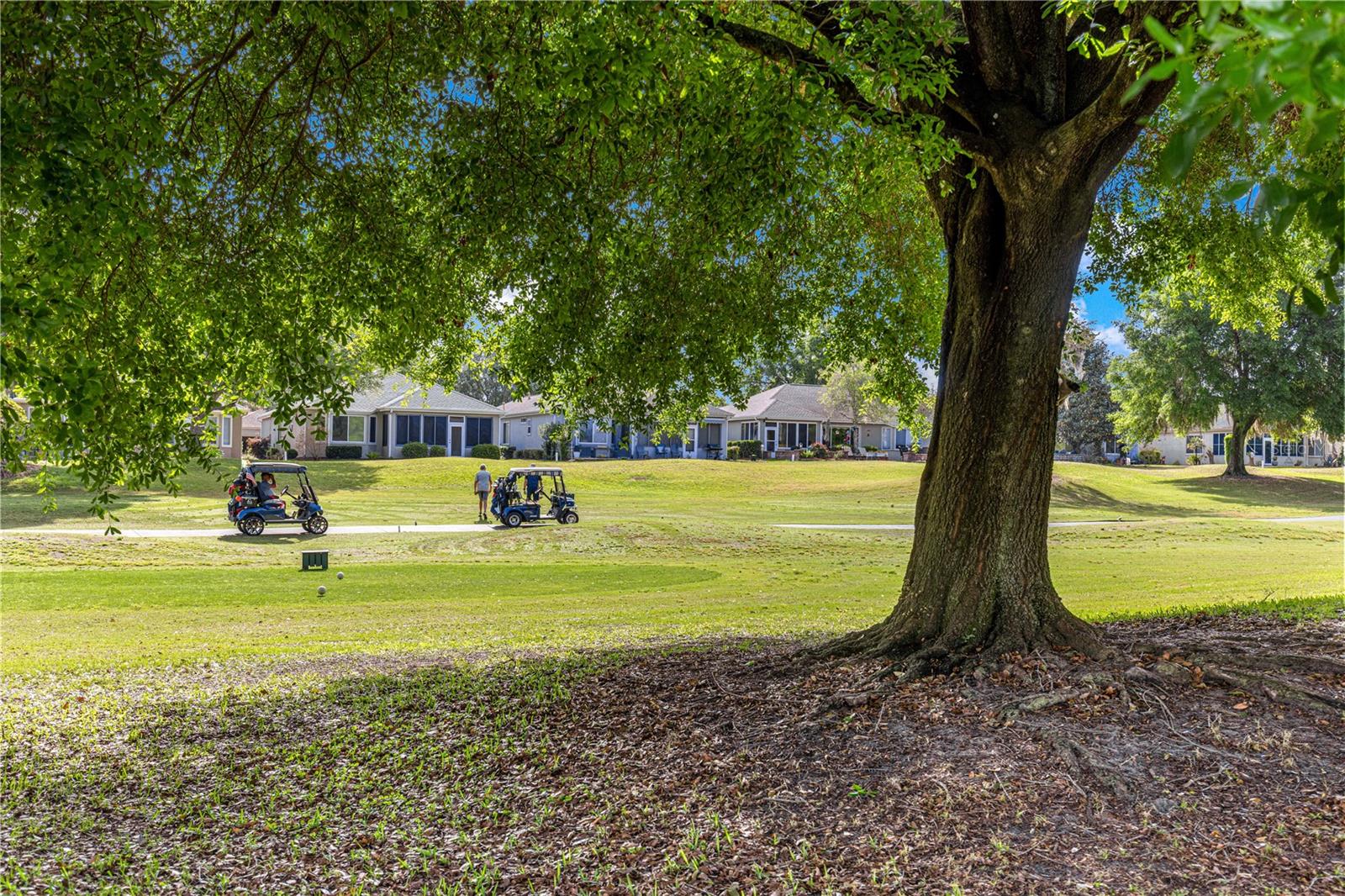 13131 SE 91ST COURT ROAD