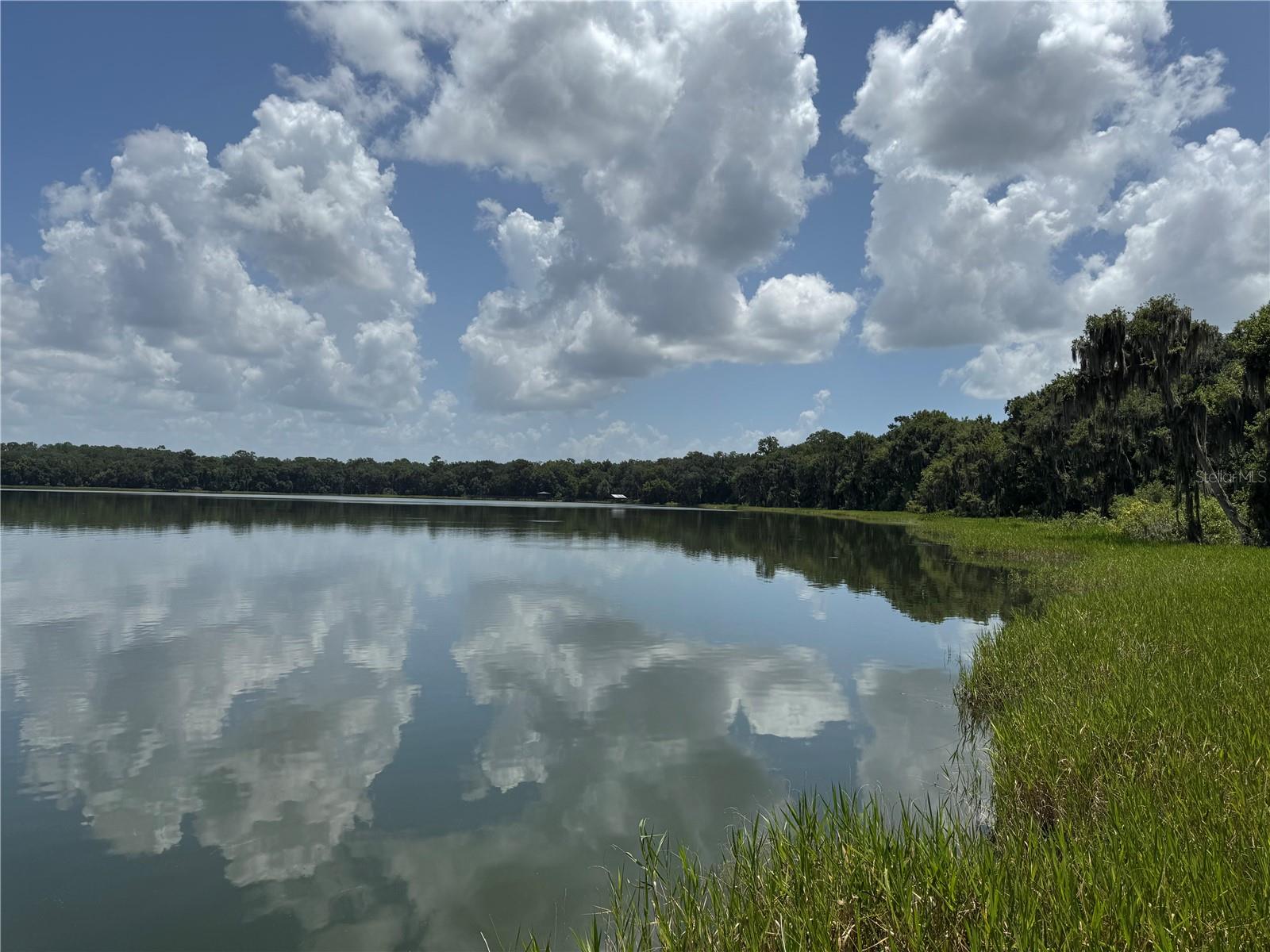 LEITNER TR E LEVY GRANT - Residential