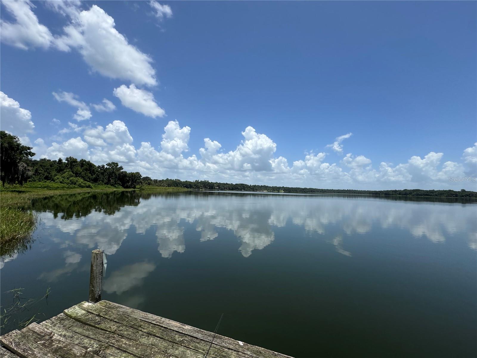 LEITNER TR E LEVY GRANT - Residential