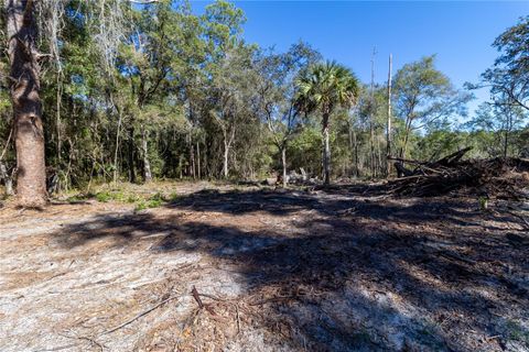 Tiny photo for 815 NE 145th Avenue Road, Silver Springs, FL 34488 (MLS # GC536131)
