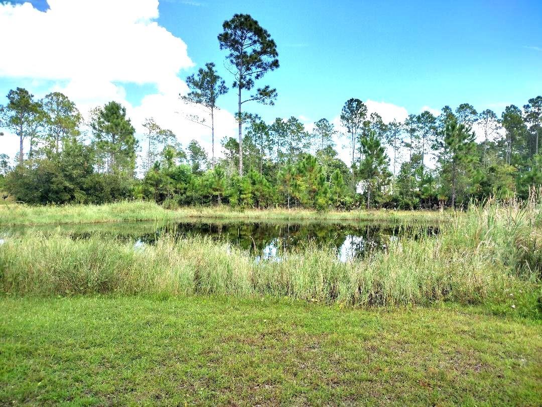 DAYTONA NORTH - Residential