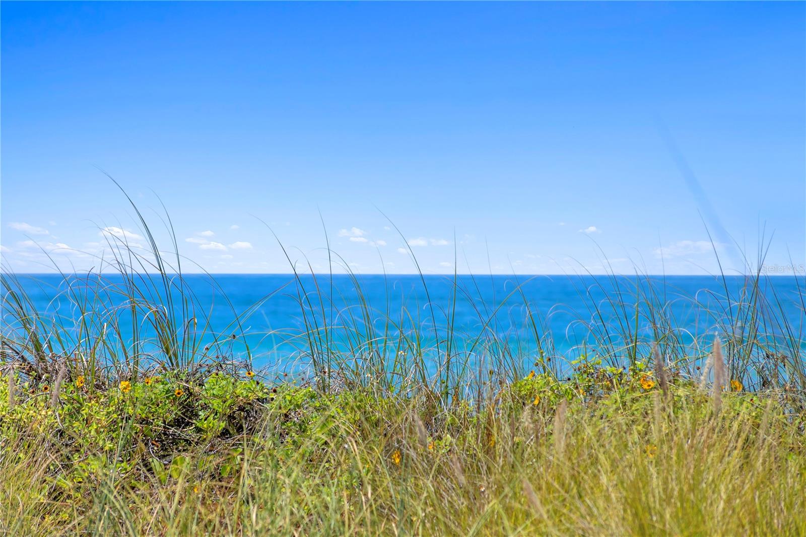 SERENO CONDO - Residential