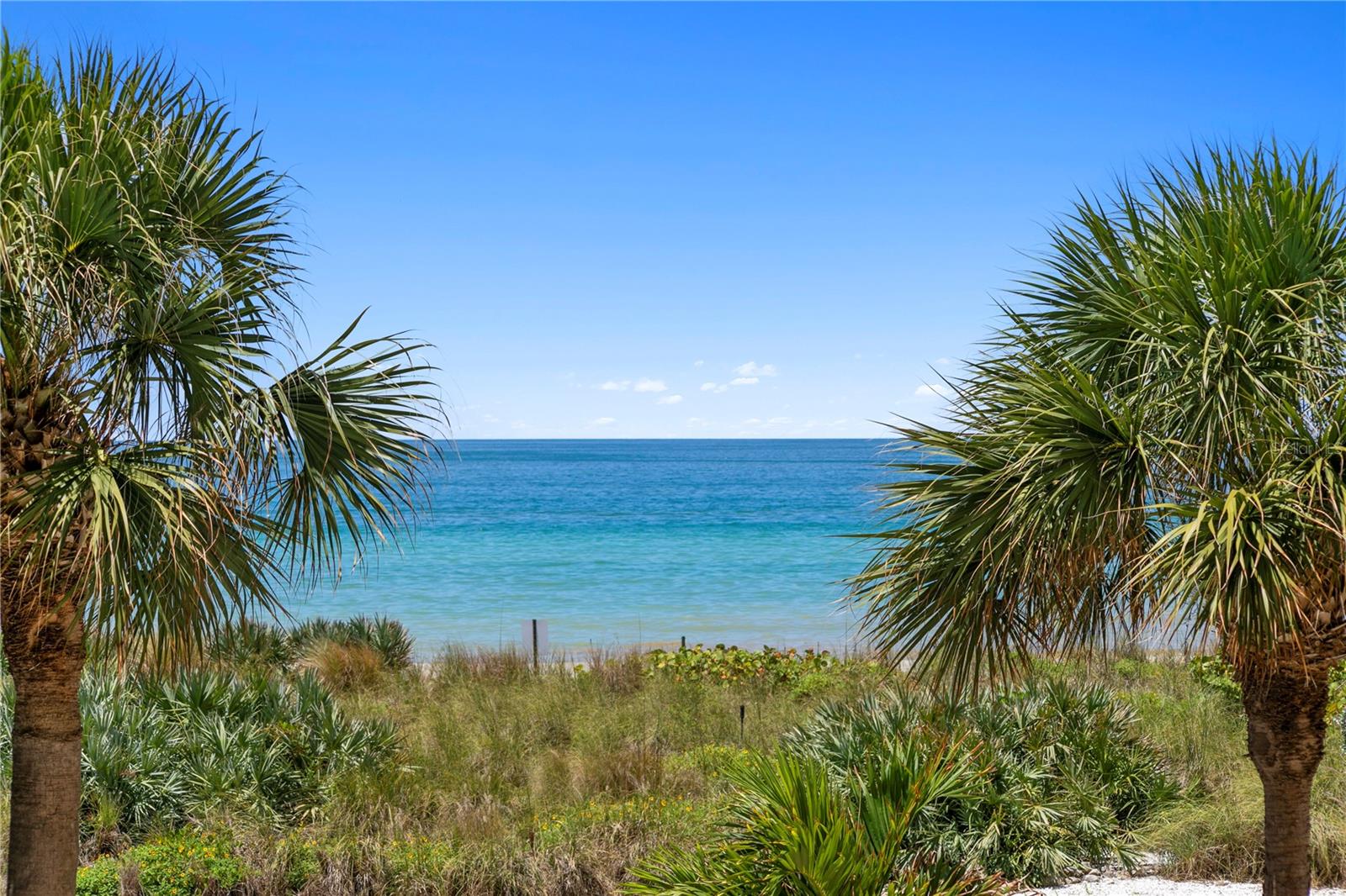 SERENO CONDO - Residential