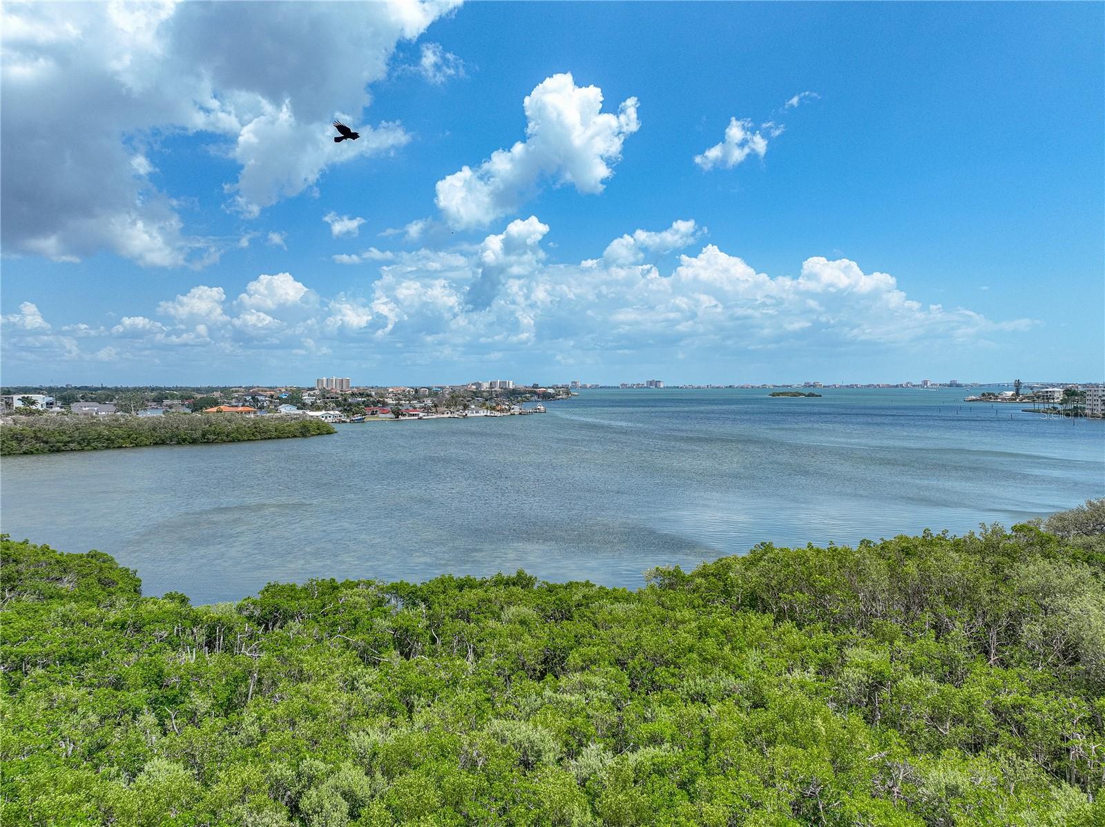 BACK ON THE MARKET Buyers financing fell through. Full Waterfront (intracoastal/Boca Ciega) Condo with a Balcony on the 5th floor, breathtaking water views at resort-like style Pasadena Cove. Gated Community with it's own private Marina. Coastal living at its best in the highly sought out location. Spectacular water views straight as you come through the front door. This 2 bedroom 2 bathroom split plan for privacy has a wonderful waterfront screened balcony too. Opportunity for all ages. Condo had new A/C in 2020. Interior has just been completely painted a neutral color and crown molding and baseboards newly painted white. This condo is Very beautiful inside. Brand new carpet in bedrooms the rest of this home has wood-look flooring. Kitchen has been opened up for an open floor plan and remodeled with ceiling to floor cabinetry for lots of storage. Master bedroom has a large walk-in closet, en-suite bathroom with walk-in shower and double sink vanity. Inside laundry comes with a washer and dryer. Second bedroom has its own bathroom.
Pets 30 lbs and under are welcome! Rent or buy deep water boat slips (upon availability). Low HOA fee covers: Insurance, water, trash, sewer, cable TV and internet, concierge services, fitness center, billiard room, shuffleboard, heated pool and spa, private marina, renovated clubhouse with a full kitchen that hosts social gatherings, amazing wide walking paths lined with lush green landscaping, ground maintenance, building exterior and roof, car wash area, boat trailer/RV storage You can ride Sun Runner bus from here. This 5th floor unit has a community locked bicycle storage room and another locked storage room on same floor with a space for each individual condo to have extra storage. Deeded covered parking in front of this building
Close to the beaches and downtown St. Petersburg. NO INCOMING SPECIAL ASSESSMENTS! Milestone report available in attachments.