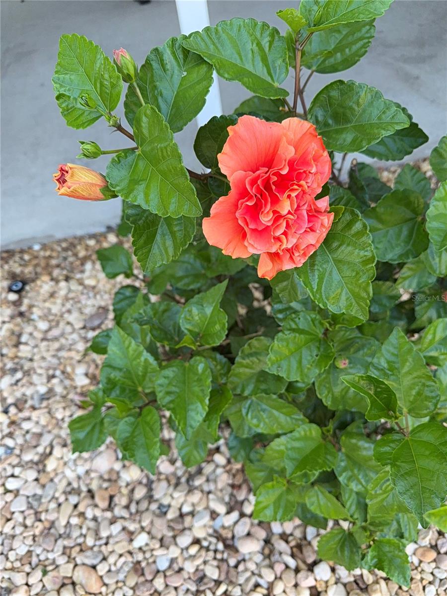 IMPERIAL LAKES ESTATES - Residential