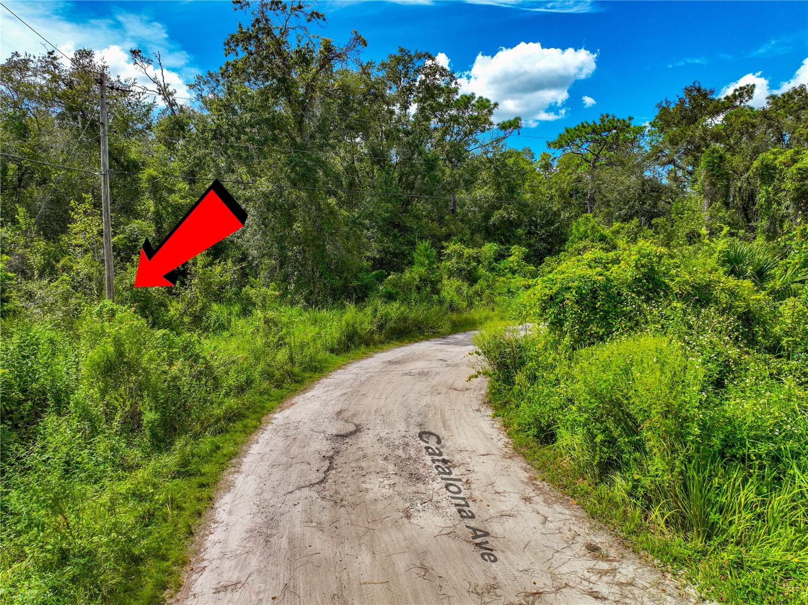 MOON LAKE ESTATES - Land