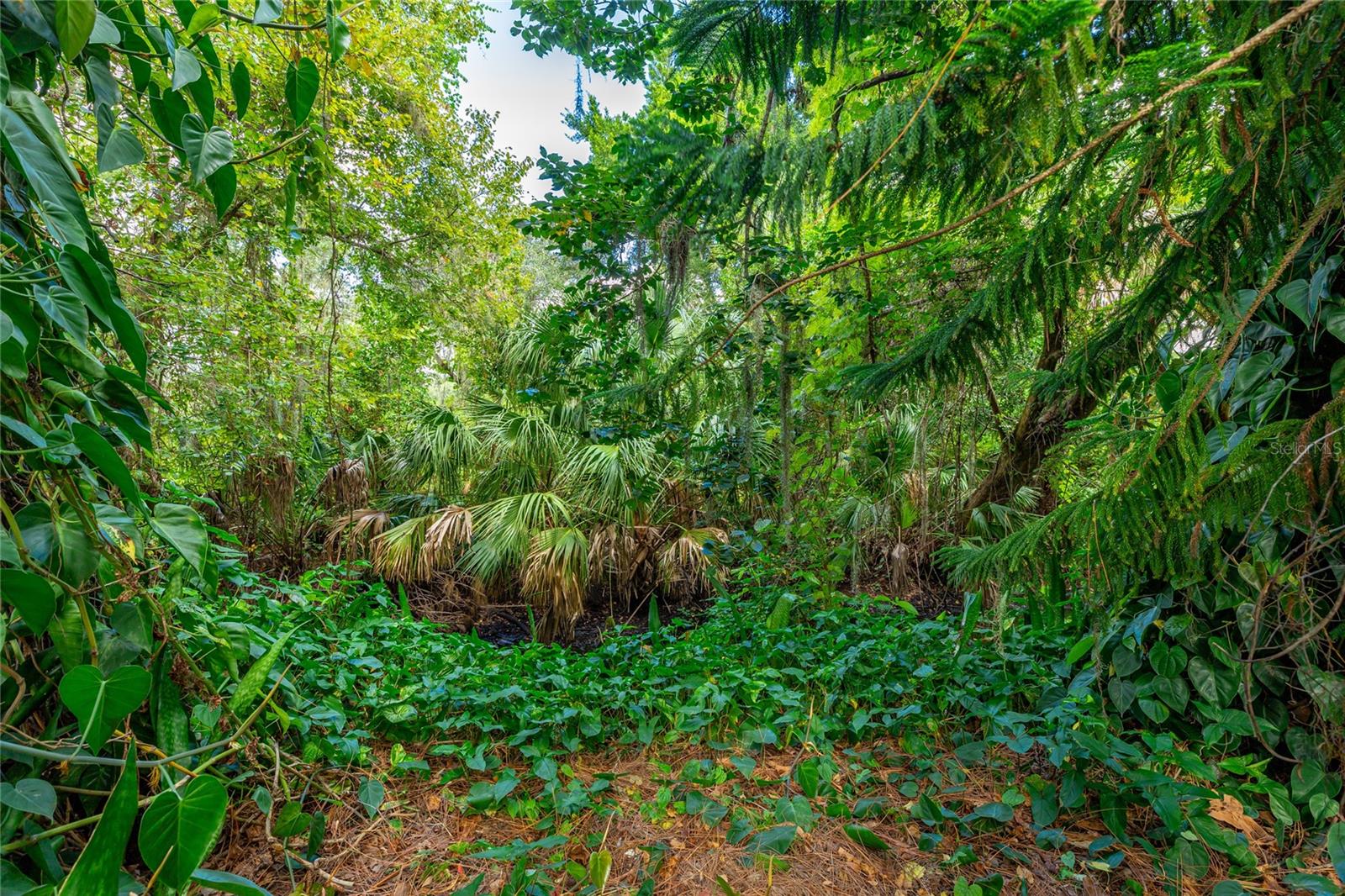 COLONIAL OAKS - Residential Lease