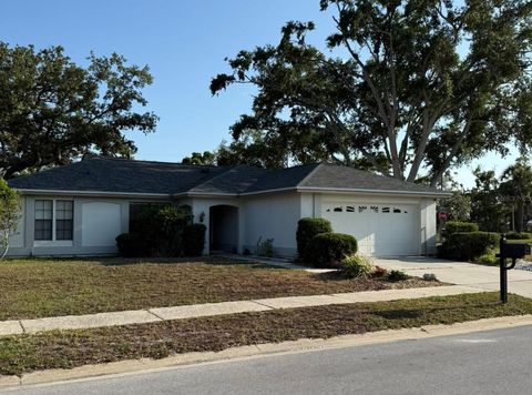 3628 NETTLE CREEK COURT HOLIDAY FL 34691
