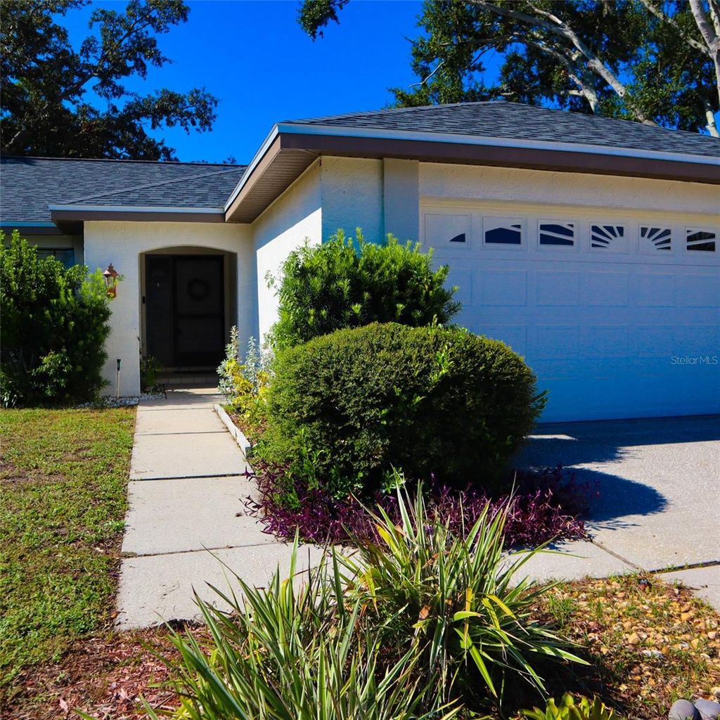 Photo of 3628 Nettle Creek Court, Holiday, FL 34691 (MLS # O6307799)