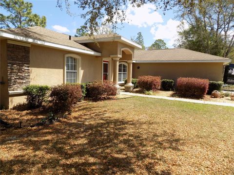Tiny photo for 2047 W Paragon Lane, Citrus Springs, FL 34434 (MLS # G5112755)