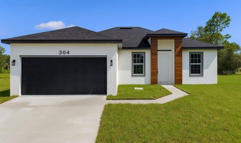 Photo of 304 Bass Lane, Kissimmee, FL 34759 (MLS # O6351826)