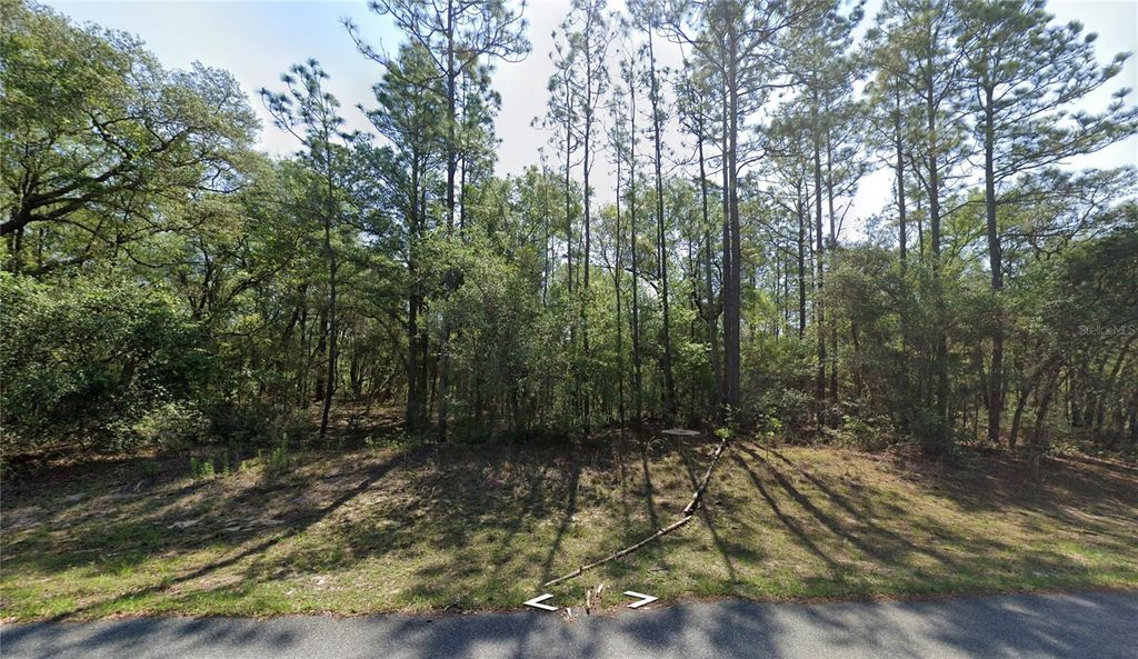 Photo of 8123 N Yellowbird Avenue, Dunnellon, FL 34434 (MLS # O6336937)