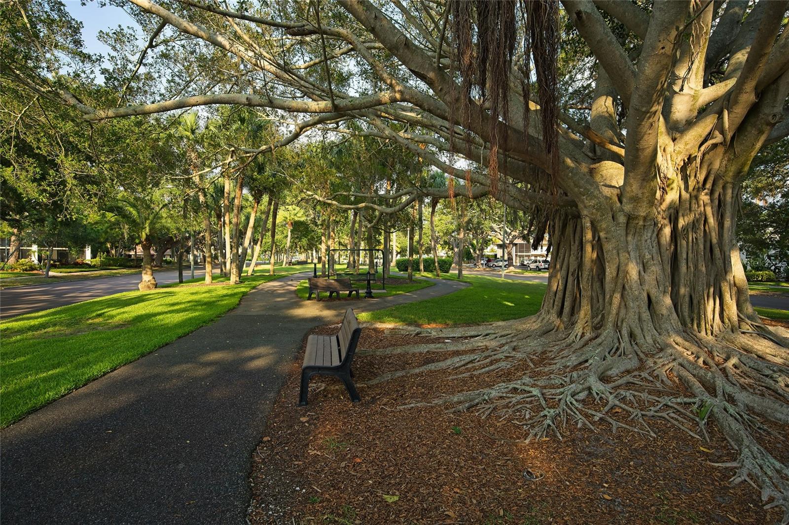 VENICE GARDENS - Residential