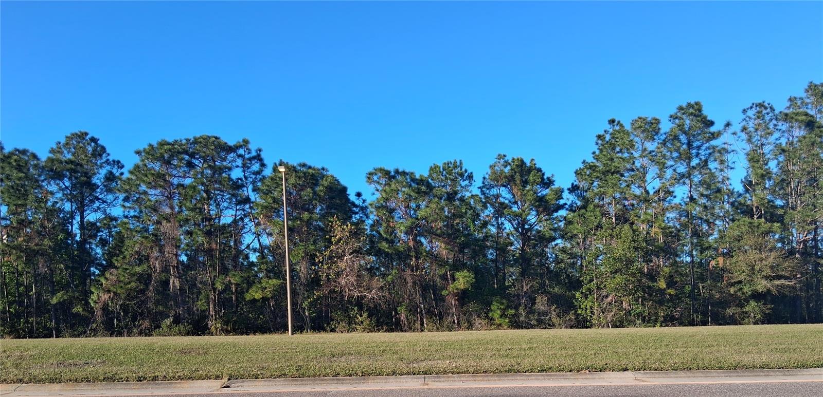This is a vacant unimproved land.