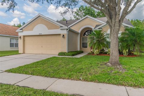 A home in WESLEY CHAPEL