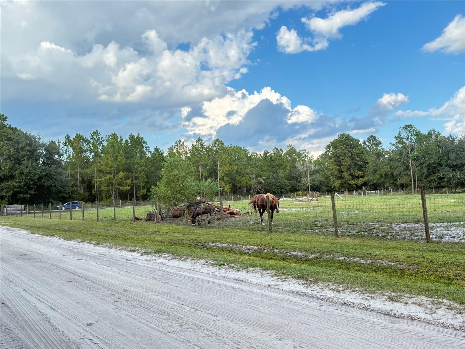 PLANTATION FARMS SOUTH - Land
