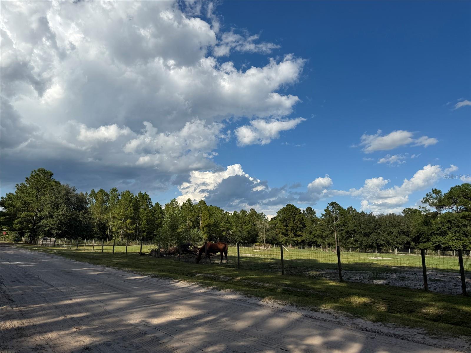 PLANTATION FARMS SOUTH - Land