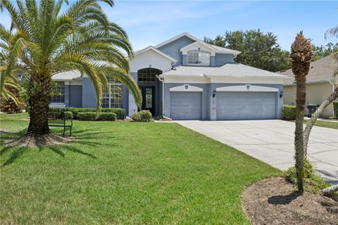 Photo of 710 Regina Circle, Oakland, FL 34787 (MLS # O6415350)