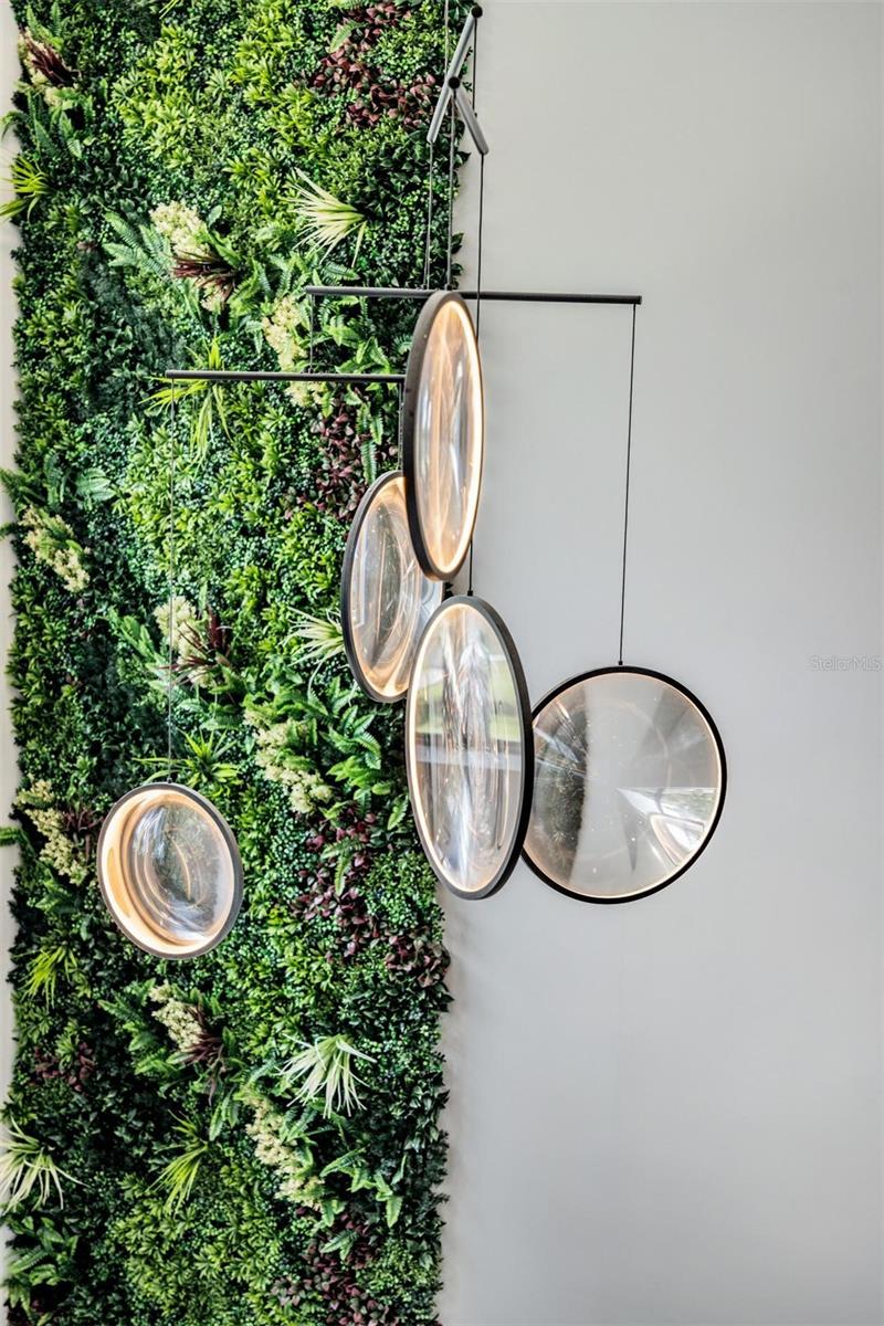 SUBURB ROYAL - Residential