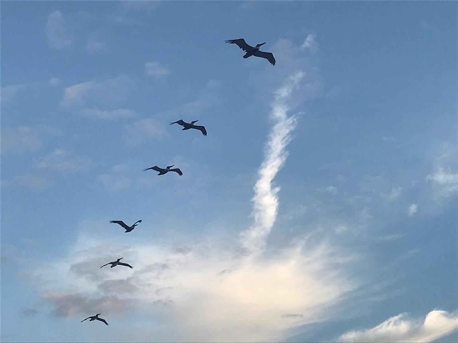 Moontide Condo - Residential