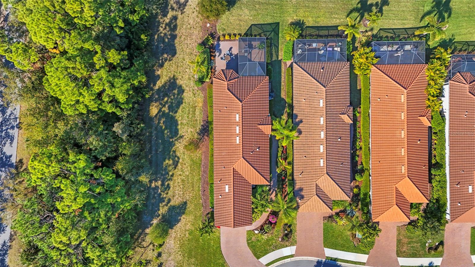 ESPLANADE ON PALMER RANCH - Residential