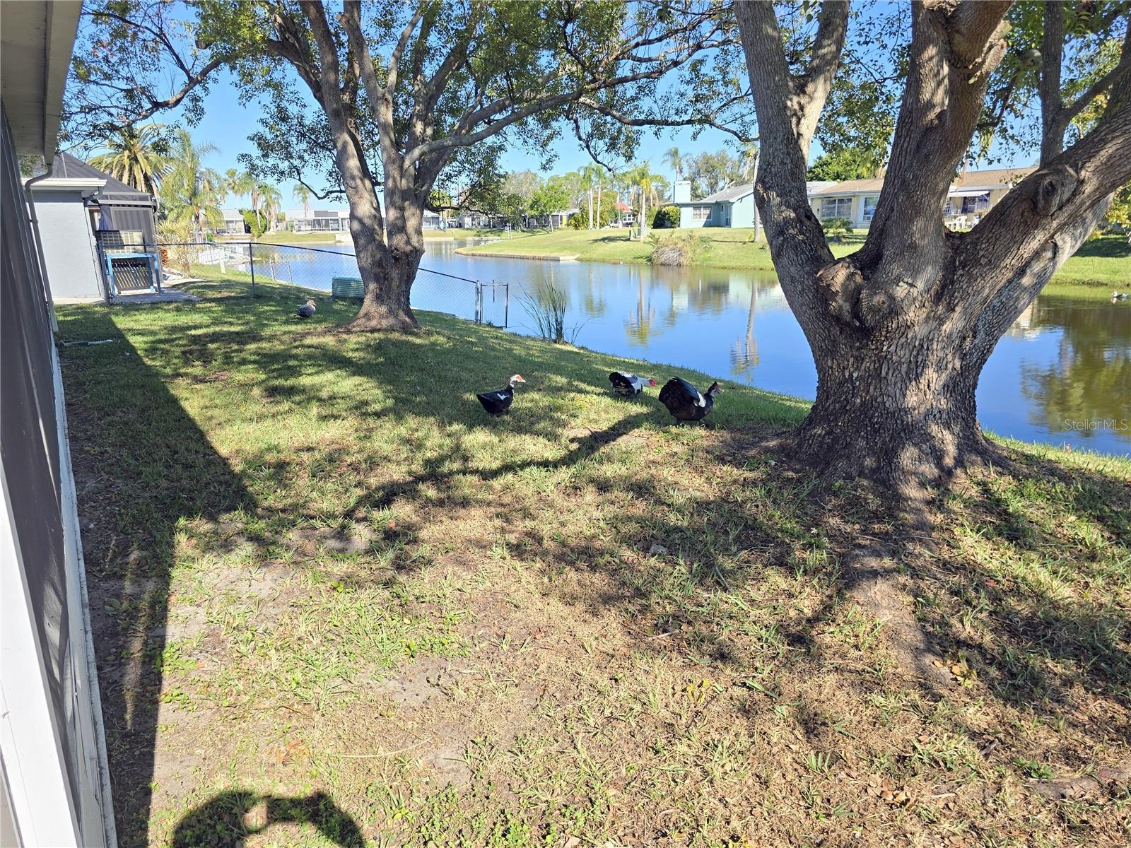 BEACON SQUARE - Residential