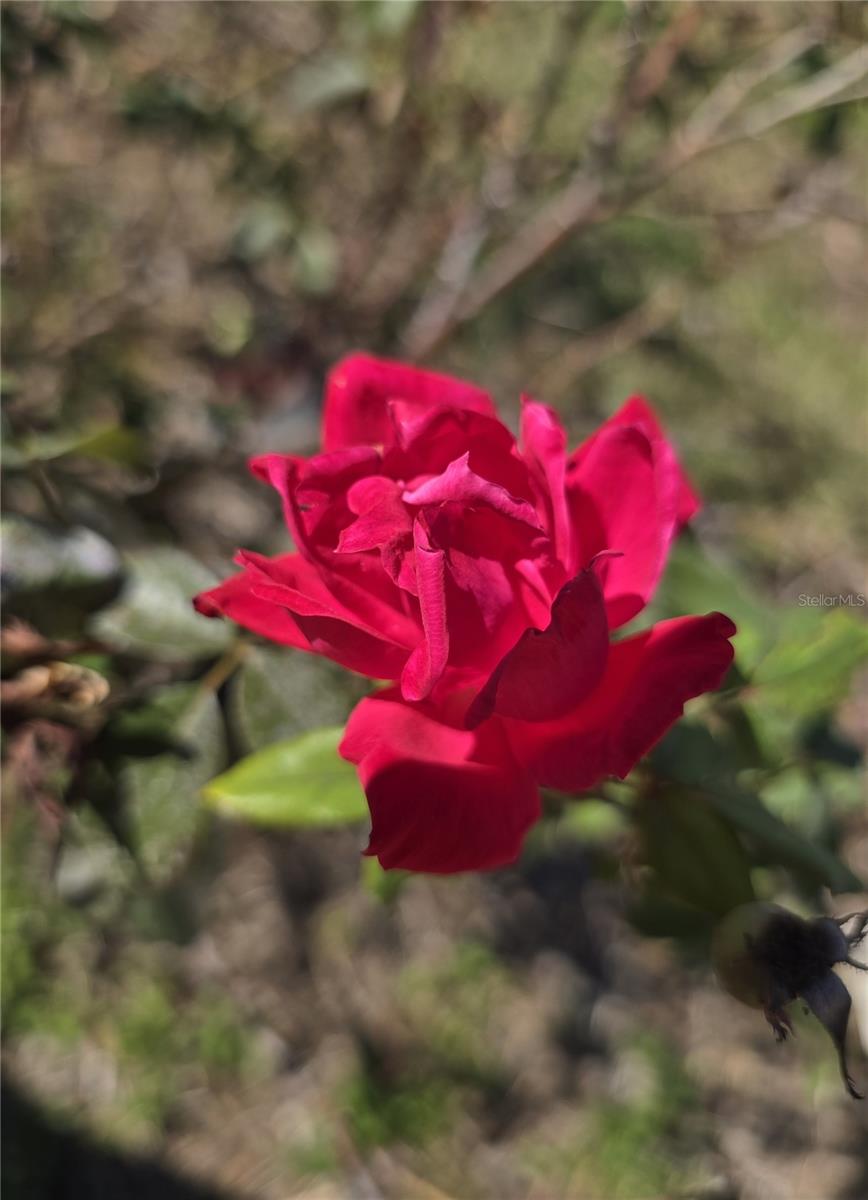 BEACON SQUARE - Residential