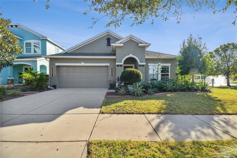 A home in RIVERVIEW