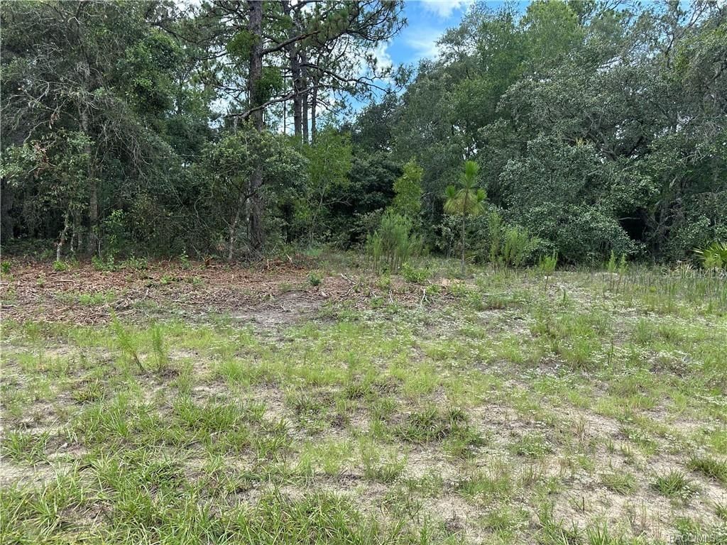Photo of 1282 W Hampshire Boulevard, Citrus Springs, FL 34434 (MLS # W7878092)