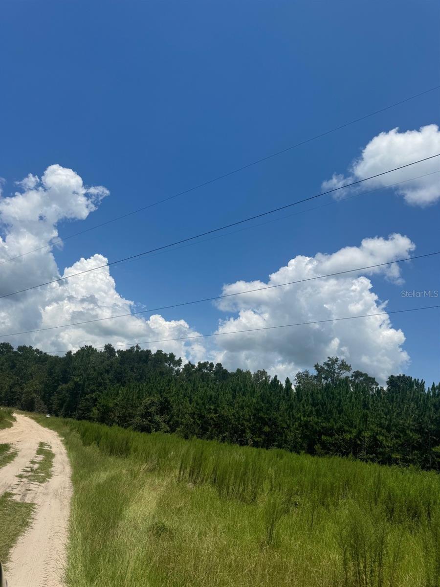 COLES UNR SUB - Land