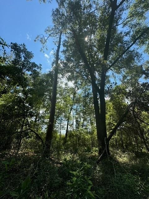 COLES UNR SUB - Land