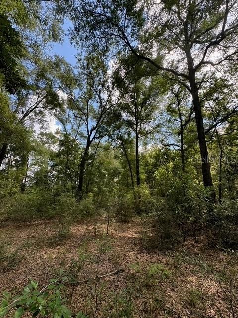 COLES UNR SUB - Land