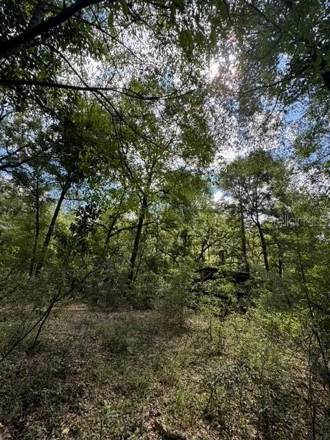 COLES UNR SUB - Land