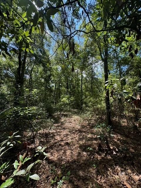 COLES UNR SUB - Land